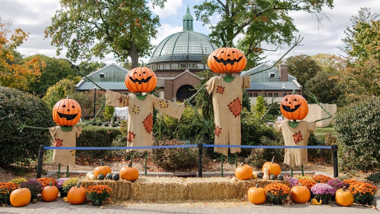 Detroit Zoo Boo 2024 Tickets Marge Samaria Detroit Zoo Boo 2024 Tickets Marge Samaria