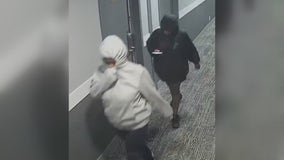 Suspects in Livonia Amber Alert case targeted twins after violent break-in at family's home, relative says