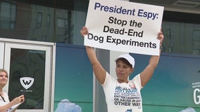 Activists hope Wayne State's new president will end school's animal testing program