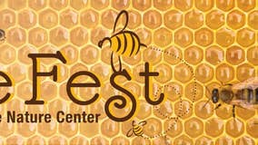 Bee Fest coming to Belle Isle with free admittance for all attendees