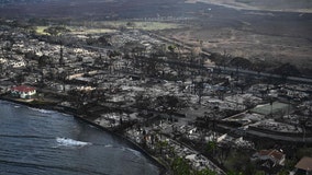 Maui wildfire: Death toll rises to 53; thousands race to escape