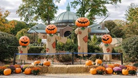 Detroit Zoo's festive Halloween Zoo Boo tickets go on sale soon
