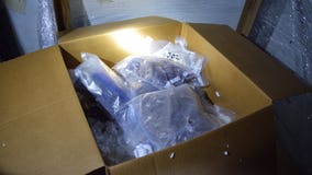 113 pounds of MDMA found in cargo at Blue Water Bridge