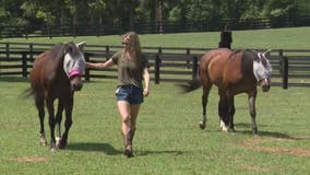 Abraham Ranch provides safe haven for farm animals with Michigan Humane