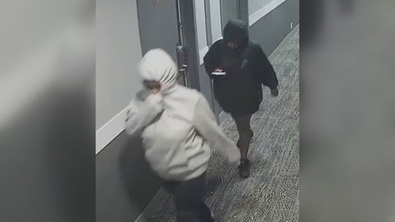 Suspects in Livonia Amber Alert case targeted twins after violent break-in at family's home, relative says