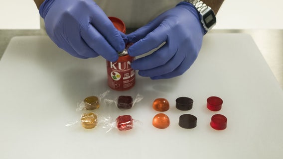 Michigan K-12 students could take medical marijuana on school premises under new bill