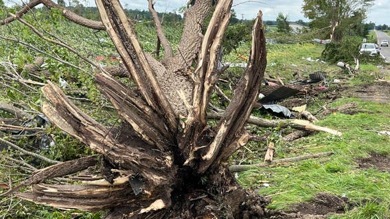 Four tornadoes touched down in Michigan including 2 in Metro Detroit, NWS confirms