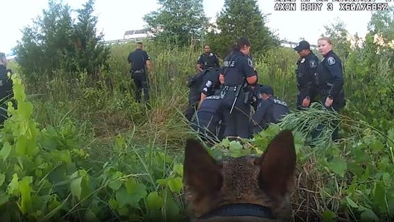 Berkley K-9 catches armed robber after suspect runs across freeway in front of officer