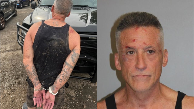 Home invasion suspect arrested in Shelby Township after hiding under abandoned mobile home