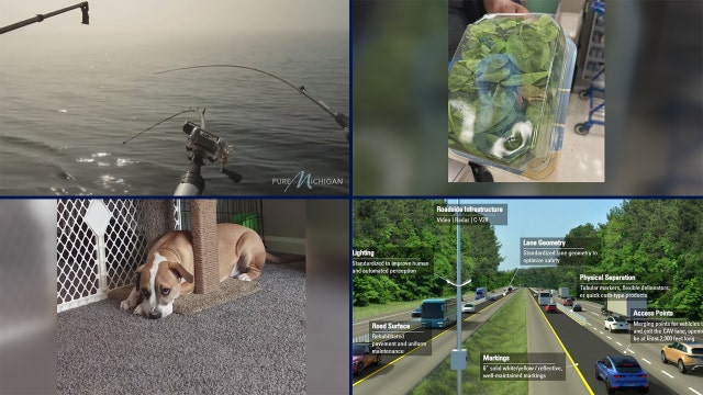 Do Not Eat Fish MDHHS advisory • high school sports changes • live frog found in spinach container