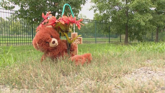 Police seek hit-and-run driver that struck, killed Chesterfield Township man