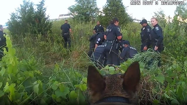 Berkley K-9 catches armed robber after suspect runs across freeway in front of officer