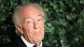 'Harry Potter' actor Michael Gambon dies at 82