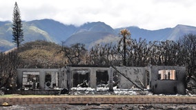 Lawyers allege cable TV, phone companies are also responsible in Maui wildfires
