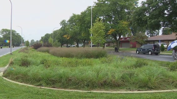 Detroit's 11 new bioretention gardens are solving city's flooding issues, water department says