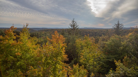 Michigan fall color tracker: When the leaves start changing around the state