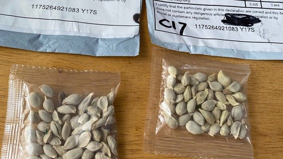 Officials warn against planting unsolicited seeds from China