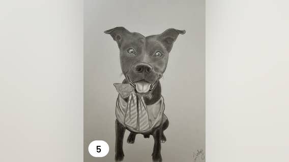 Sheriff's office auctioning dog photos drawn by inmates to benefit Genesee County animal shelter