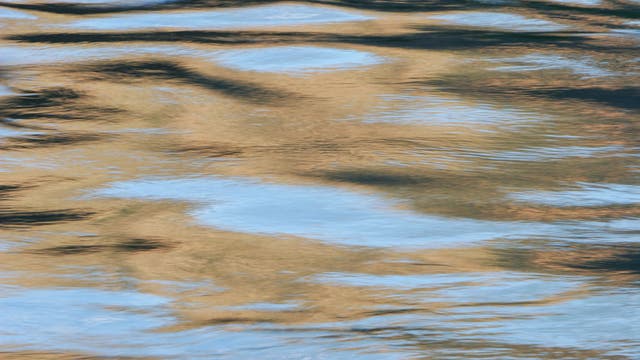Canadian man swims across St. Clair River to steal gun from Macomb County pawn shop