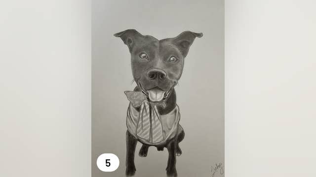 Sheriff's office auctioning dog photos drawn by inmates to benefit Genesee County animal shelter