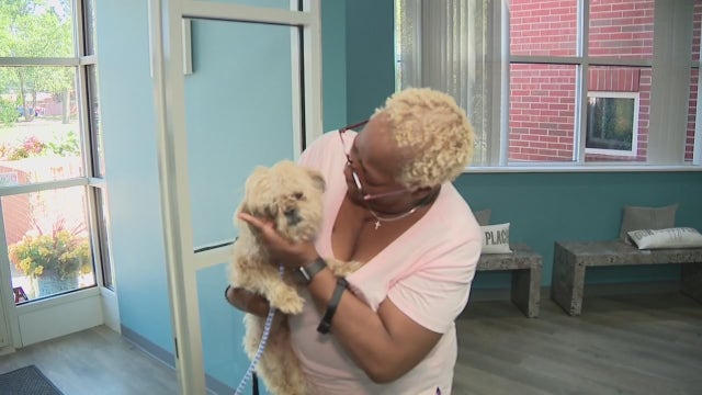 Missing therapy dog reunited with family months after disappearing in Detroit