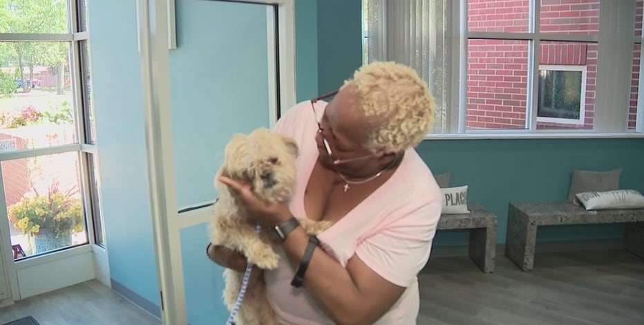 Missing therapy dog reunited with family months after disappearing in Detroit