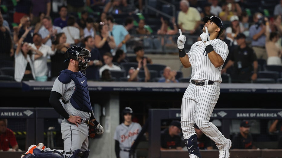 Fan throws back home run ball at Yankee Stadium, hits Yankees