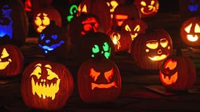 Sip Blake's Hard Cider and carve jack-o-lanterns at Bobcat Bonnie's Pumpkins and Pints