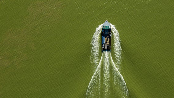 Deadline to enact Lake Erie's pollution diet now set