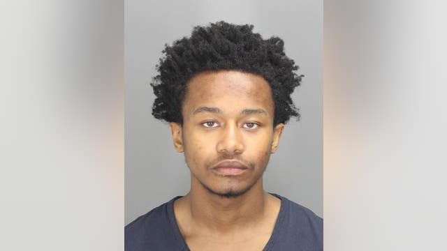 Suspect charged after summer crime spree in Bloomfield Township, Troy