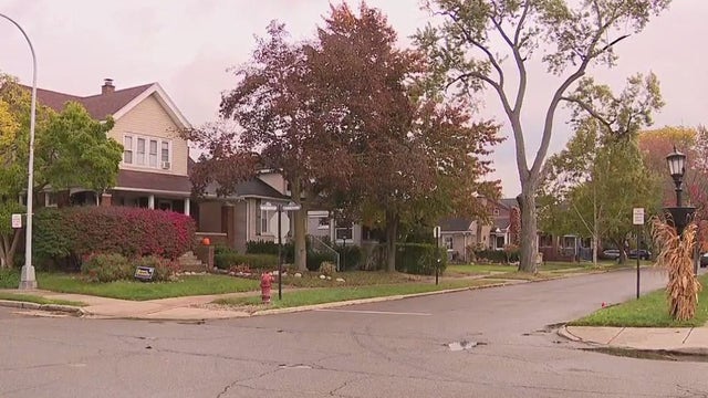 Couple attacked by aggressive dogs in Grosse Pointe Park, woman injured
