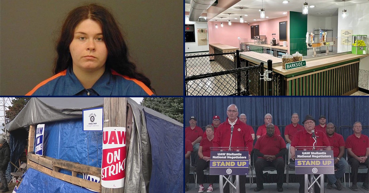 Woman sentenced for deadly drunk driving crash • Detroit dog park and ...