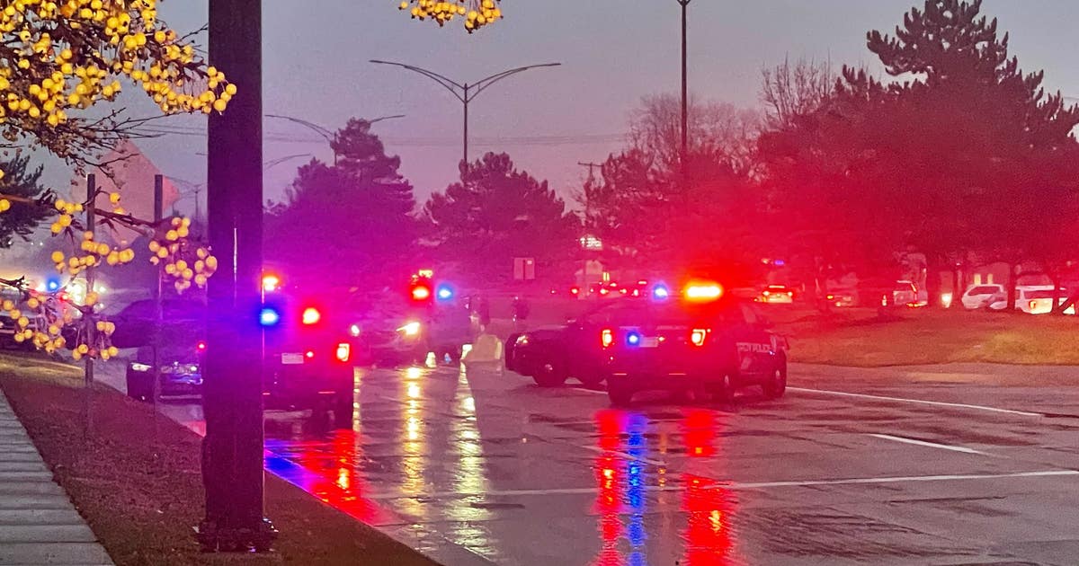 Troy police: Suspect in stolen car shot on Big Beaver Road after ...