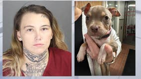 Police: Warren woman left puppy in dumpster, led officers on chase before crashing