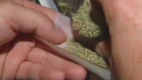4 Metro Detroit cities vote 'no' to marijuana dispensaries
