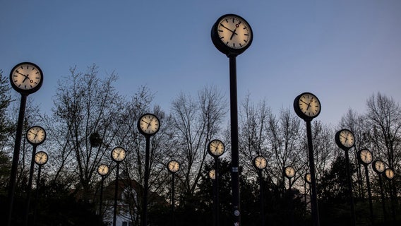 Daylight Saving Time 2025: When does Michigan 'spring forward'