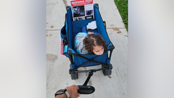 Family searching for 6-year-olds missing emotional support dog