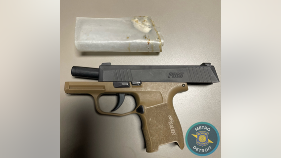 State troopers find hallucinogenic mushrooms, gun during Royal Oak crash investigation