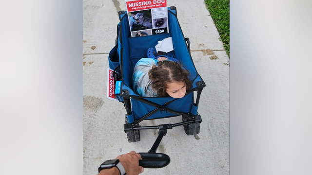 Family searching for 6-year-olds missing emotional support dog