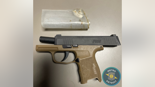 State troopers find hallucinogenic mushrooms, gun during Royal Oak crash investigation