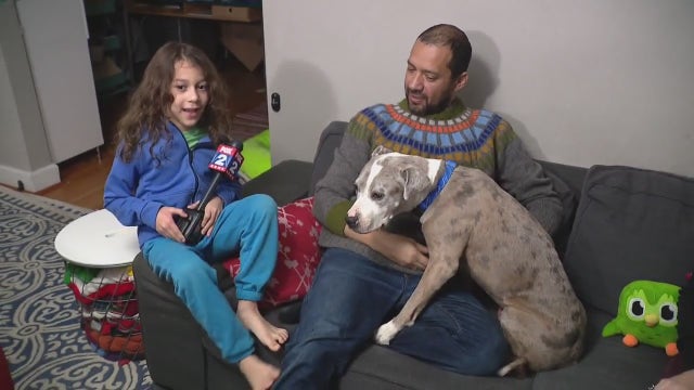 Detroit boy's missing emotional support dog found safe after being gone for 71 days