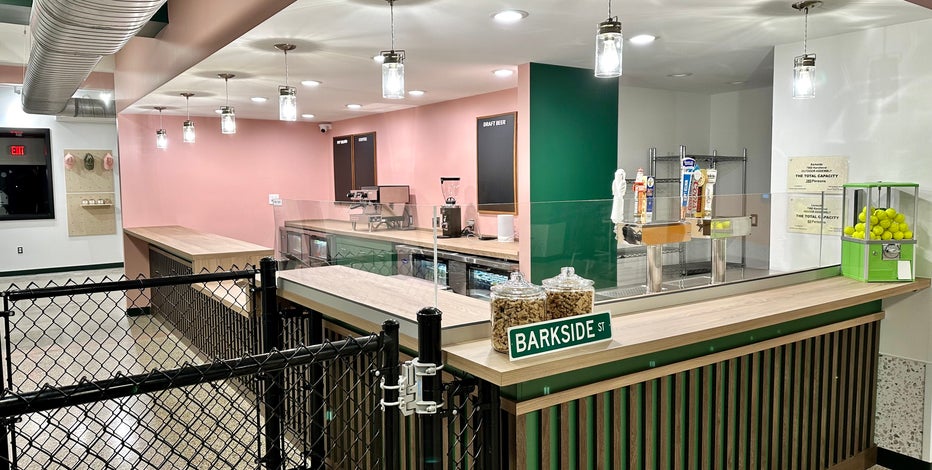 Detroit's Barkside Dog Bar opens this weekend with fun for people, pups