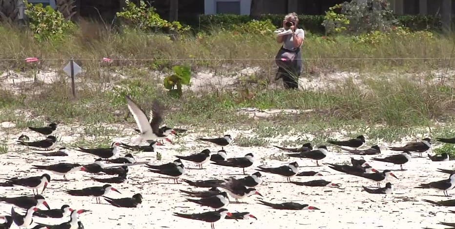 First case of bird flu discovered in Michigan among Cass County flock for 2023