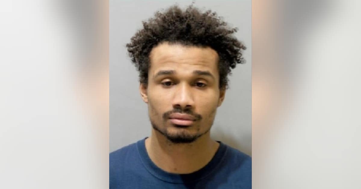 Detroit man charged in Samantha Woll murder has criminal background ...