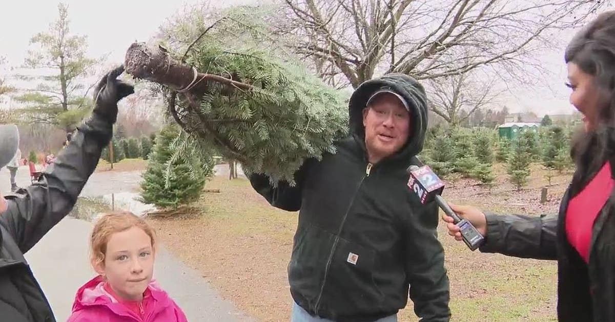 Michigan ranks third in Christmas tree production, with plenty to choose from this holiday | FOX 2 Detroit