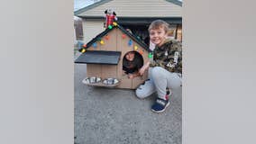 Children build doghouse for charity auction happening today