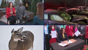 New Michigan laws in 2024 • icy roads cause Redford Twp pile-up • falling hunter numbers part of deer issue