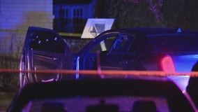 Suspect shot by Sterling Heights police after fleeing officers in stolen car