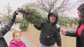 Michigan ranks third in Christmas tree production, with plenty to choose from this holiday