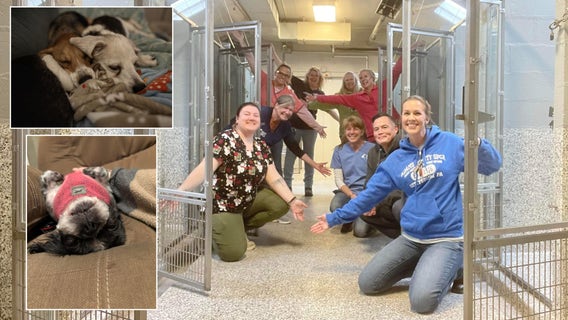 Pennsylvania animal shelter empties every kennel just in time for Christmas: 'A true miracle'
